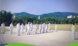 辟谷套餐爆料视频大全最新,最新爆料视频大全深度解析