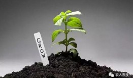 《生长》在线观看,探寻生命成长的奥秘与旅程