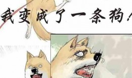 吃瓜大王小说免费阅读全文,揭秘娱乐圈幕后风云